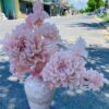 hoa mẫu đơn đá ngọc hồng (5)